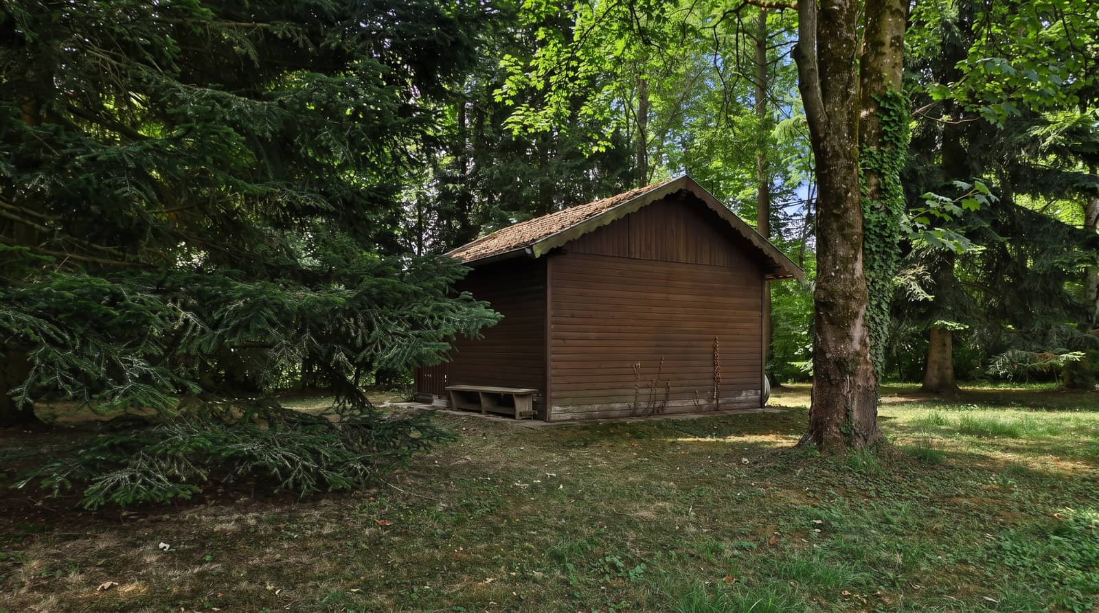 Gartenhaus im alten Baumbestand